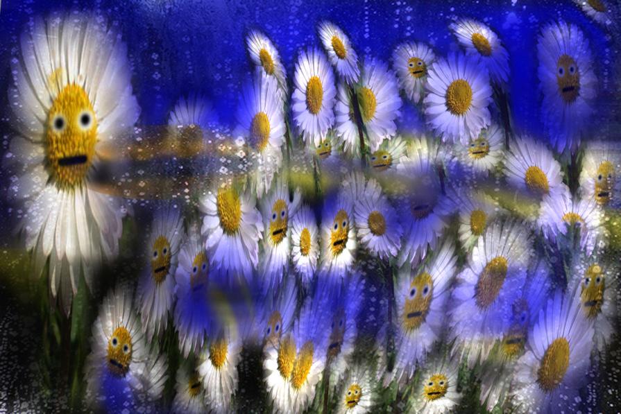 Un comizio in piazzale dei fiori a San Remo..