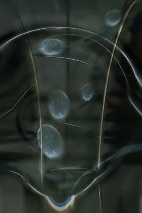 si scende in una spirale o si sale.