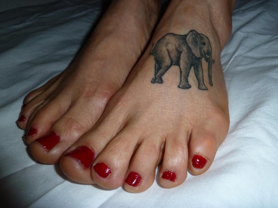 ELEPHANT