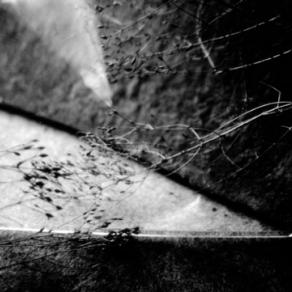 Corpi vaganti Corpi vaganti