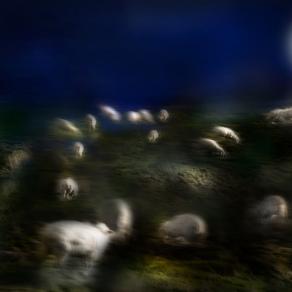 conta maurino conta una pecora due pecore tre pecore quattro pecore cinqu sei sette otto.poi dormi.