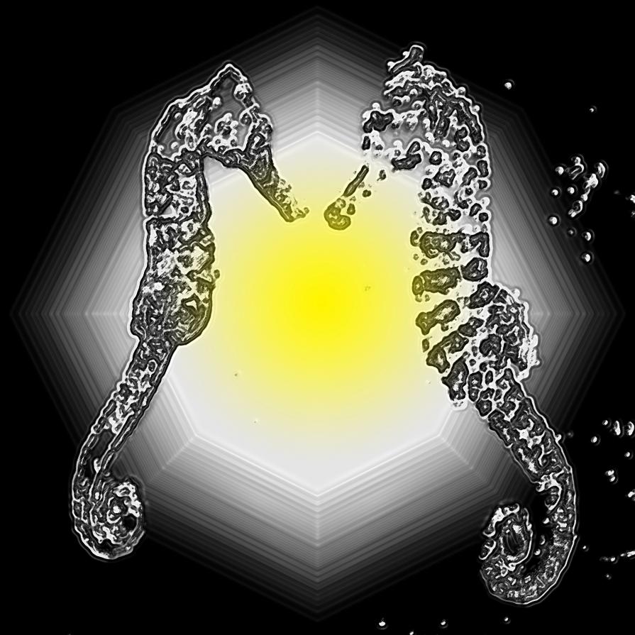 NON LASCIARMI ANDARE VIA DAL TUO CUORE...!!!