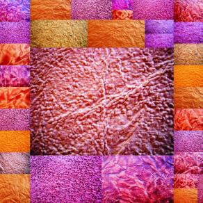 Collage mix with music