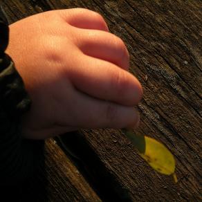 Piccole pelli crescono!