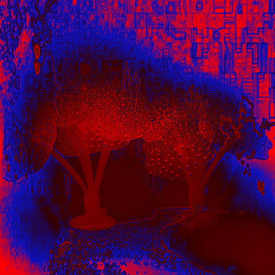 AMO GLI ALBERI SONO COME NOI RADICI PER TERRA E TESTA VERSO IL CIELO !!!