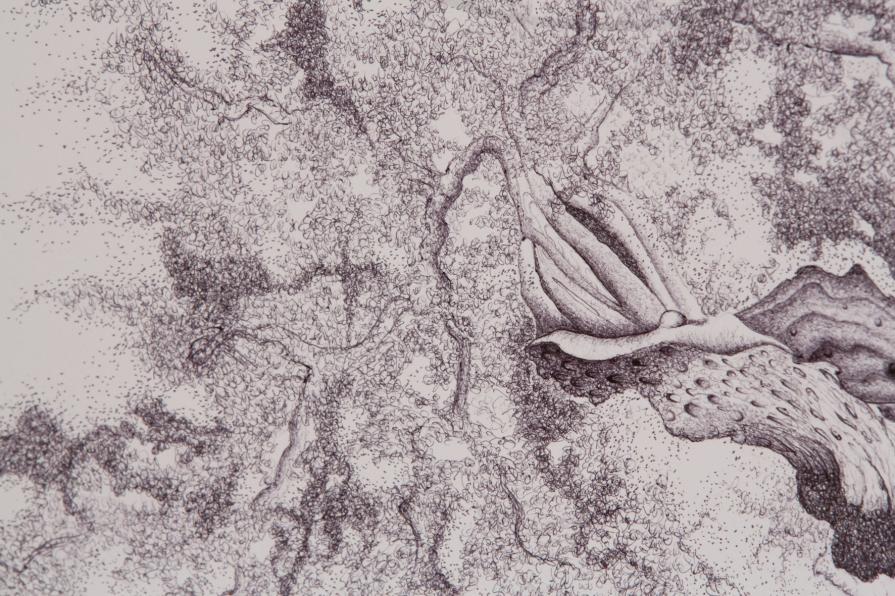 a U L I V O o f R 7 ®