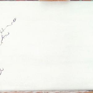 La ramificazione della timidezza