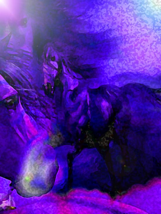 Il paradiso terrestre si trova sulla groppa di un cavallo...!!!