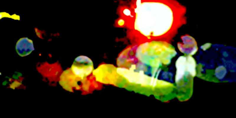 "Word in Motion-festival"