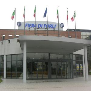 Artista Fabio Battipaglia partecipa con due sue opere alla Fiera d'Arte di Forlì