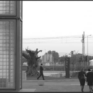 The faces of Italian Crisis The faces of Italian Crisis