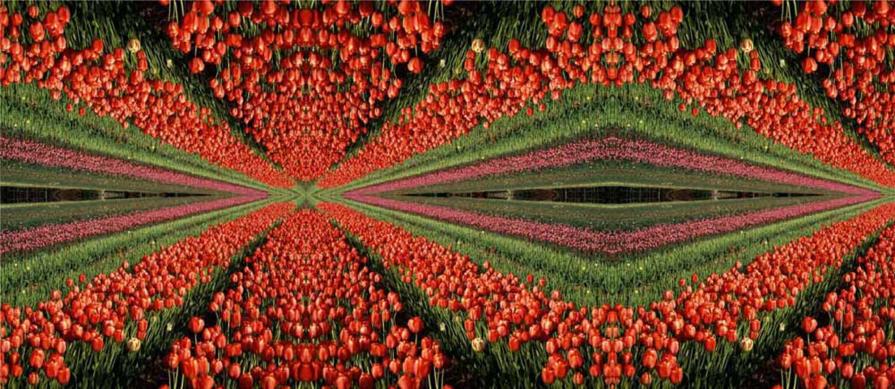 Fughe Rosso Rosa Verdi serie Caleidoscopi e Metamorfosi