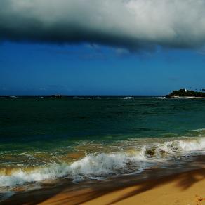 tsu                                                         nami