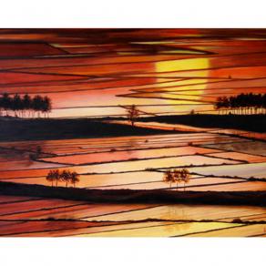 Tramonto sulle risaie