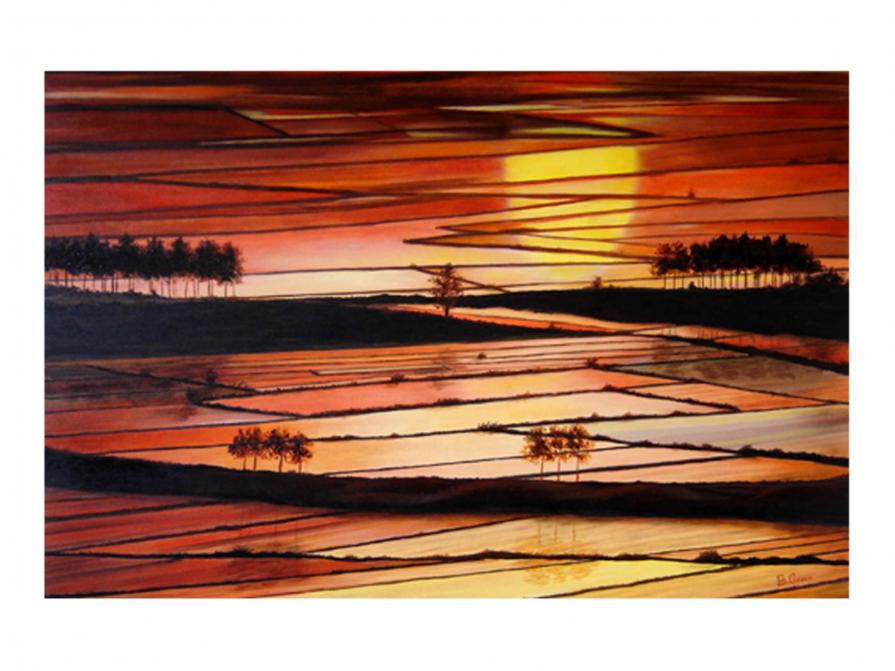 Tramonto sulle risaie