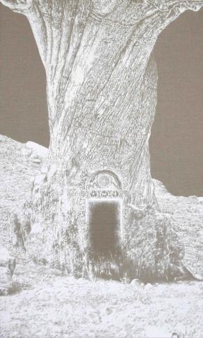 Portale XII – Radici di pietra