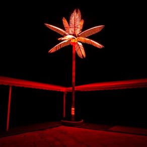 SS1 Aurelia (trittico)