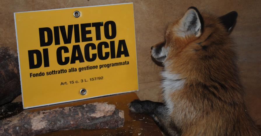 Consentito vivere Consentito vivere