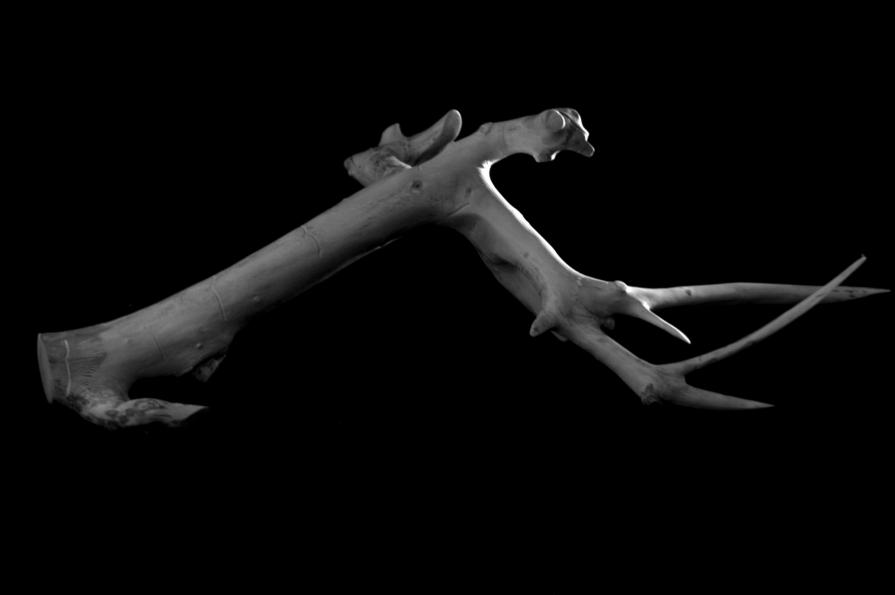 hanging rage hanging rage