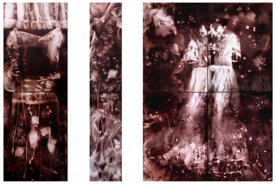 Anima di Terra Anima di Terra