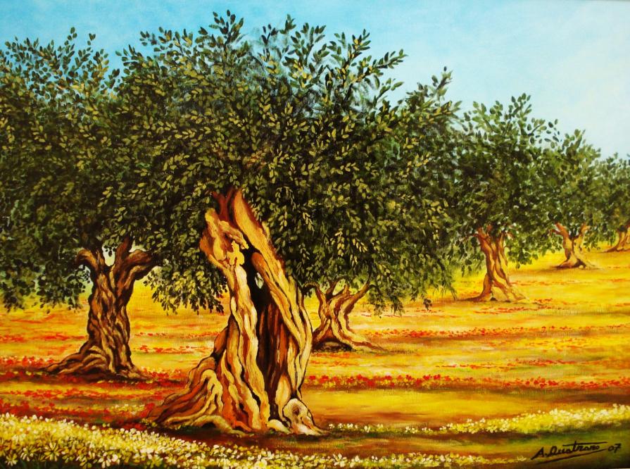 "Ulivi del Salento"