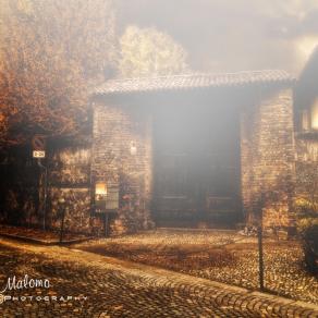 The Rising Fog-(Autumn Series)