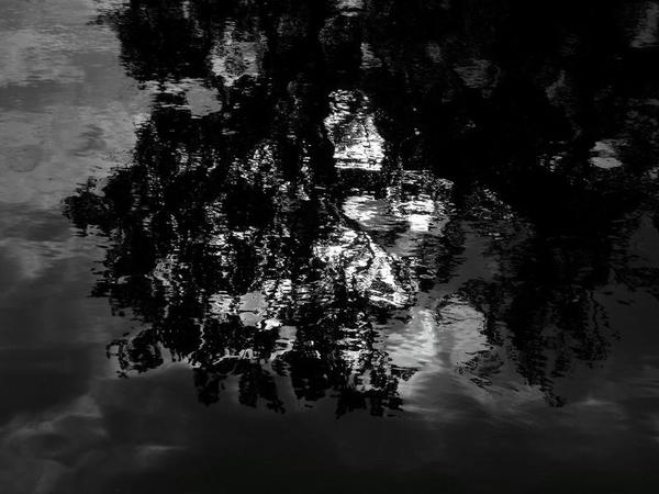 Grafica acquatica...