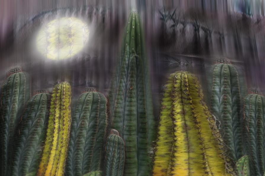 una nuova citta' visibile a New York un nuovo SKY LINE. una nuova citta' visibile a New York un nuovo SKY LINE.