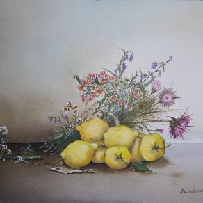 fiori di campagna