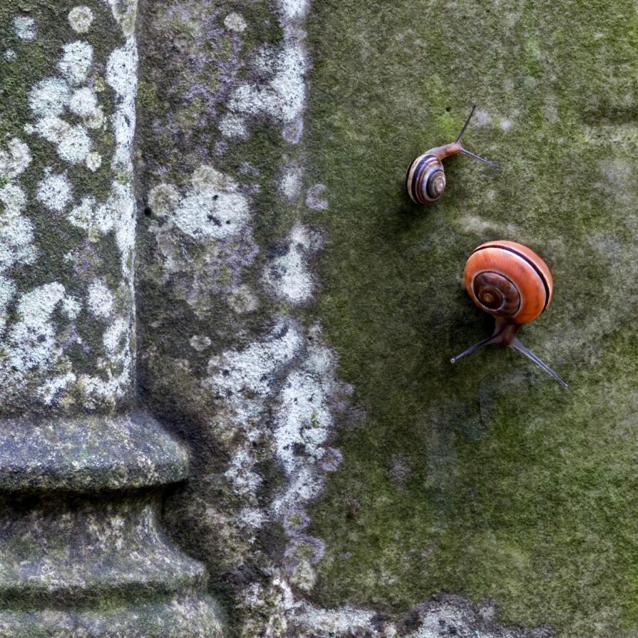 Monologue of the lens Monologue of the lens