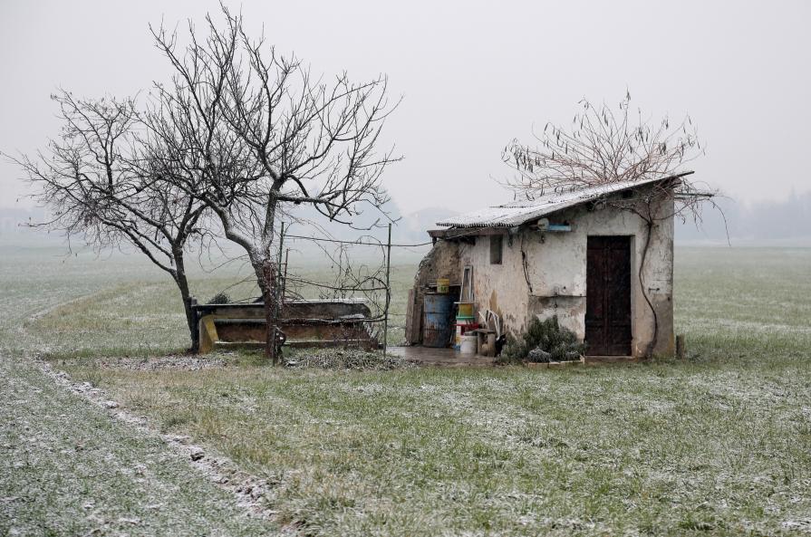 Elementi nel paesaggio di Claudio Argentiero