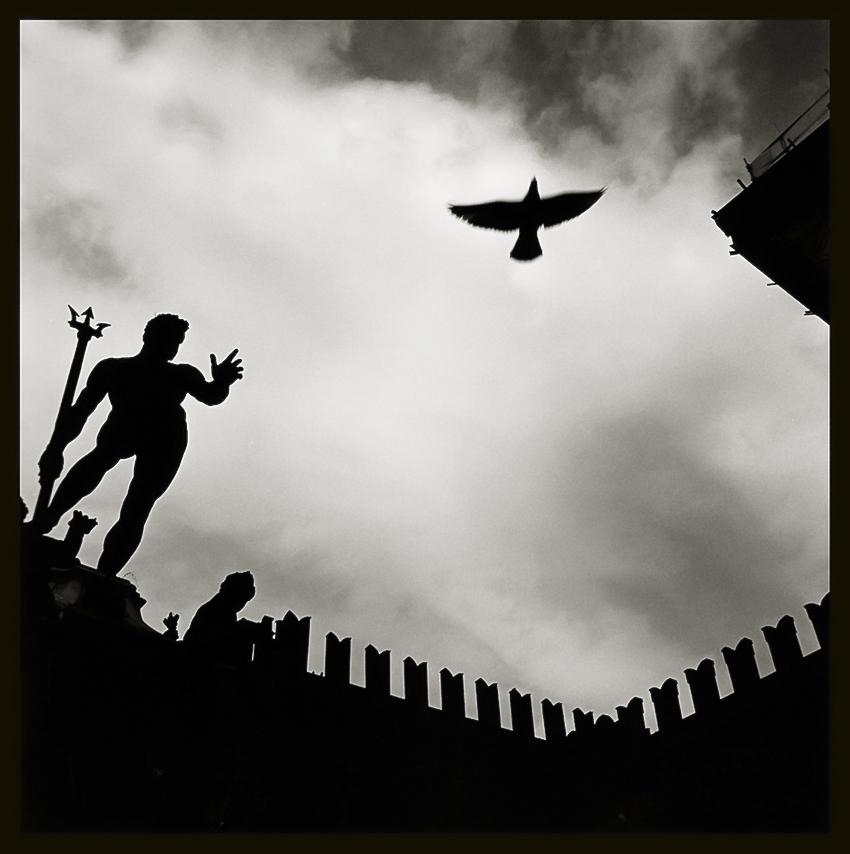 Augusto De Luca - Italy / Italia. 50