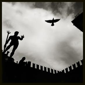 Augusto De Luca - Italy / Italia. 50