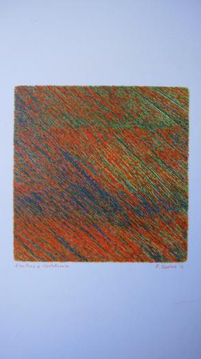 fioritura a Castelluccio