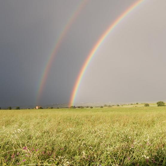 Un arcobaleno per tutti Un arcobaleno per tutti
