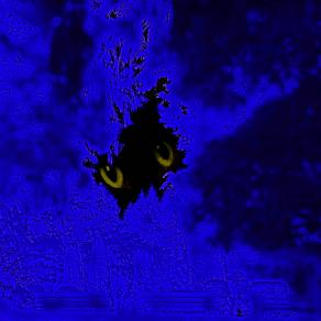 ...BENTORNATA A MONDOCELESTE MIA CARA AMICA MIA PER SEMPRE DEDICATO A TE EMILIA...!!!