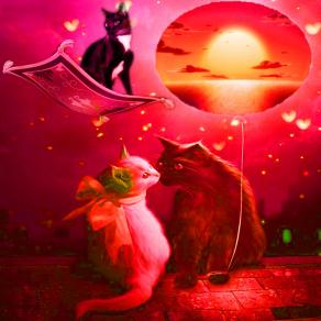 Una splendida gatta di nome Kitty amata da tutti ma ahimè era incompresa tra due cuori..!!! (2)