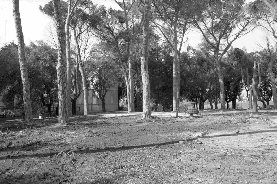 Il vento quieto del mattino / The Quiet Morning Breeze