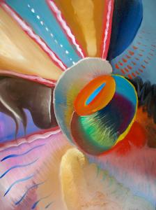 Stefano Gaetano - La mia realtà