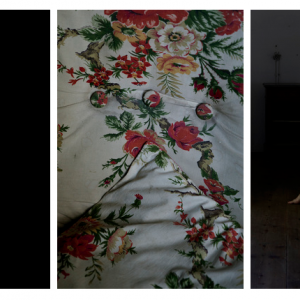 The last summer / III. La guerre 