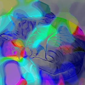 LO SAPEVATE CHE I GATTI DORMONO 20 ORE SU 24 ??? ALLORA NON C'E' DA MERAVIGLIARSI CHE HANNO UN'ASPETTO MIGLIORE DEL MIO !!!