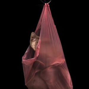 Plastic Society , The Deaf Plastic Society , The Deaf