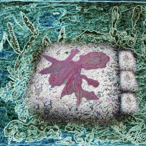 patience - a young girle must be in patience - patience - a young girle must be in patience -