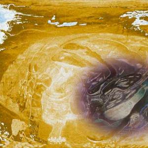    jump over your own shadow