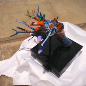 Prehensile system (hand) Prehensile system (hand)