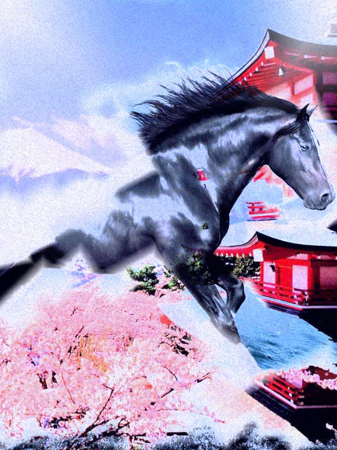 I cavalli ci prestano le ali che ci mancano...!!!