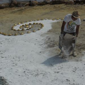 Rito della Luce 2015: La Resilienza della Bellezza - Inno alla Gioia di Vivere