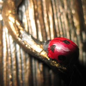 I SAGGI DELLA TERRA I SAGGI DELLA TERRA