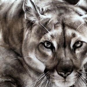 ANIMALS ART al Club La Meridiana di Modena