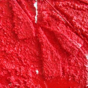 Mostra personale di Rachele Mari-Zanoli La vita nel colore